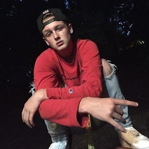 Meet your Posher, Dante